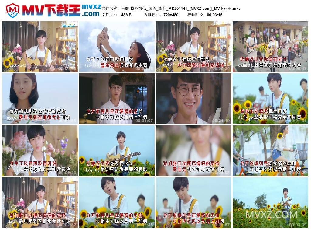 王麟-模范情侣_国语_流行_MD204141